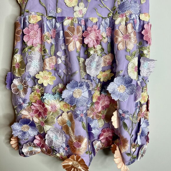 Endless Rose Floral Embroidered Mini Dress Taylor Swift Fairycore Ethereal Sz L - Picture 4 of 7